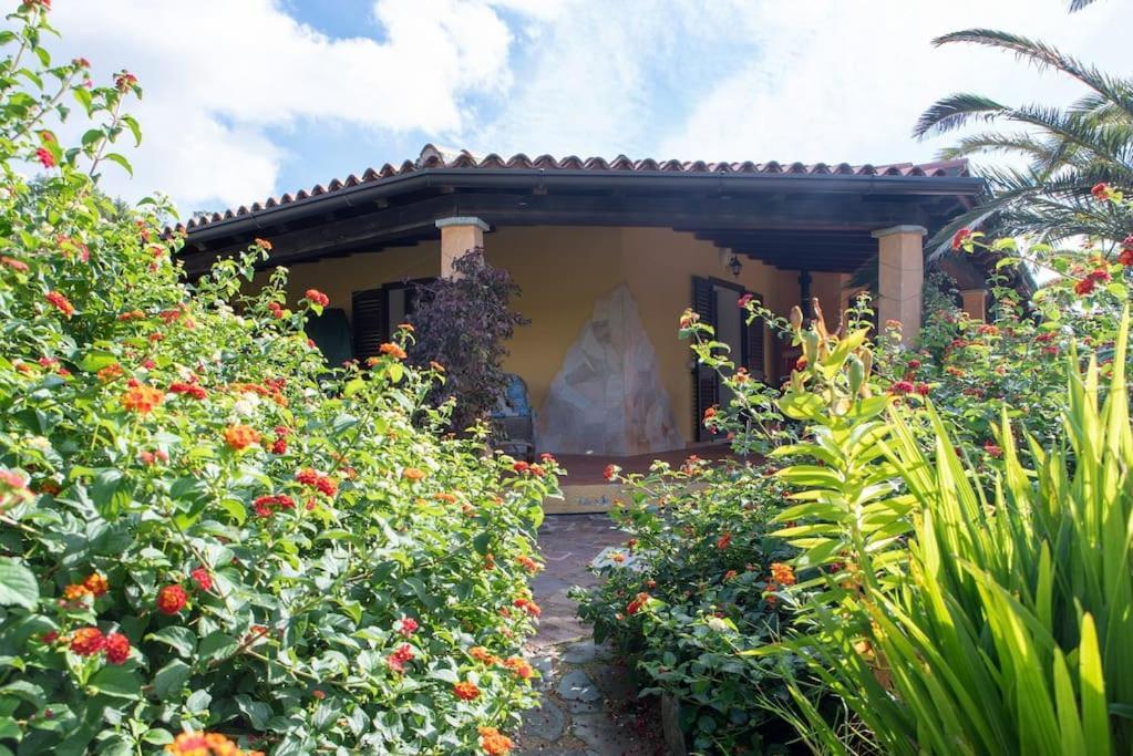 Residence Villa Smeralda Telti エクステリア 写真